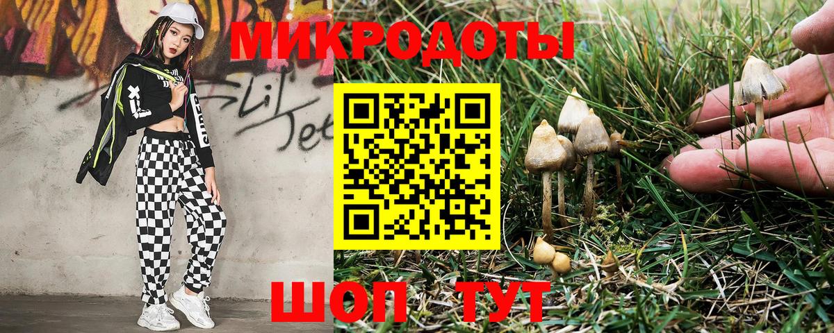 Тосно  Галлюциногенные грибы мухоморы  Вход с VPN 