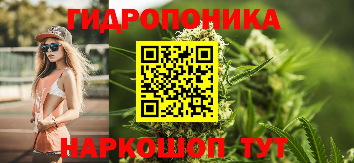 Бошки марихуана семена Тосно